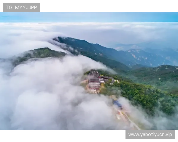 全面解析线上竞猜网站的玩法技巧与风险控制,提升您的竞猜体验与收益 全面解析线上竞猜网站的玩法技巧与风险控制,提升您的竞猜体验与收益